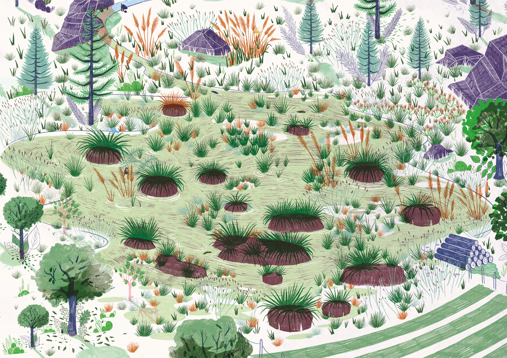 Illustration d'un lac